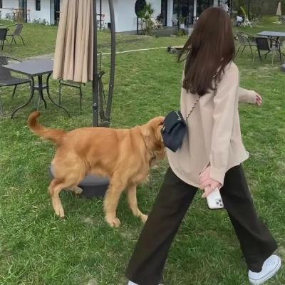 隋唐英雄