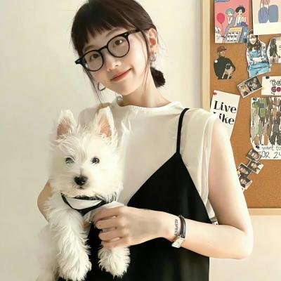 四片羽毛